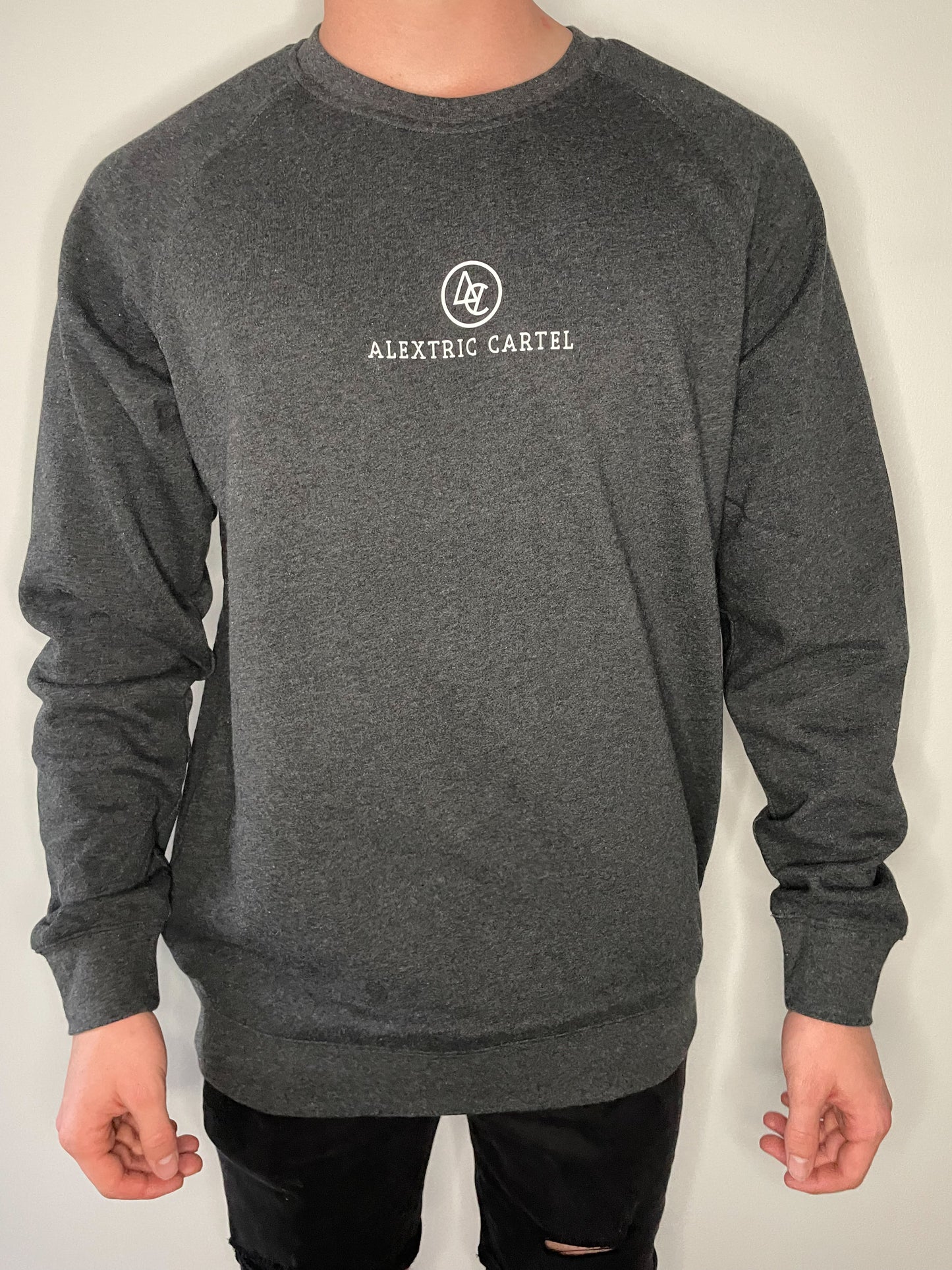 Asphalt grey Alextric cartel staple crew neck jumper on model
